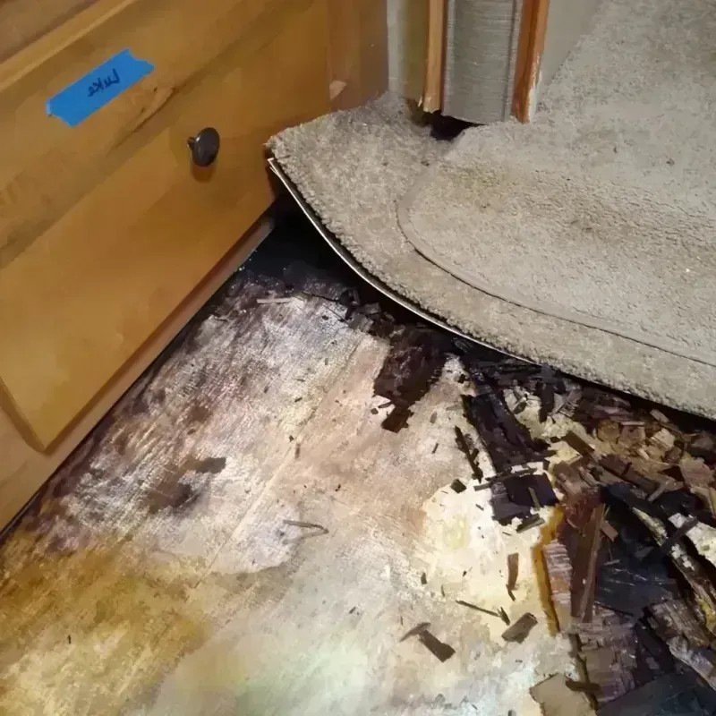 Wood Floor Water Damage in Utica, NY